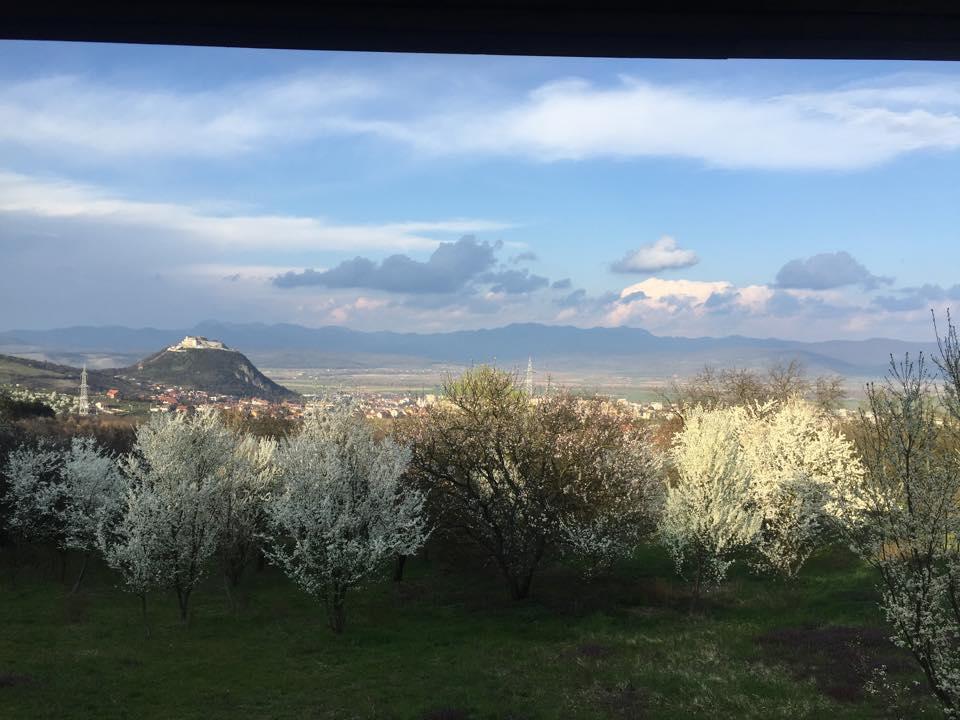 Hanu Lu Mos Opinca Deva Exterior foto